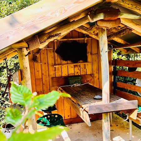 La Cabane Perchee Du Trappeur Écrainville Exteriér fotografie