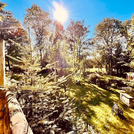 La Cabane Perchee Du Trappeur Écrainville Exteriér fotografie