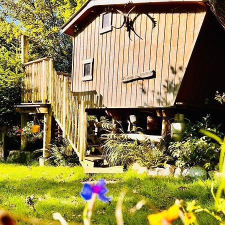 La Cabane Perchee Du Trappeur Écrainville Exteriér fotografie