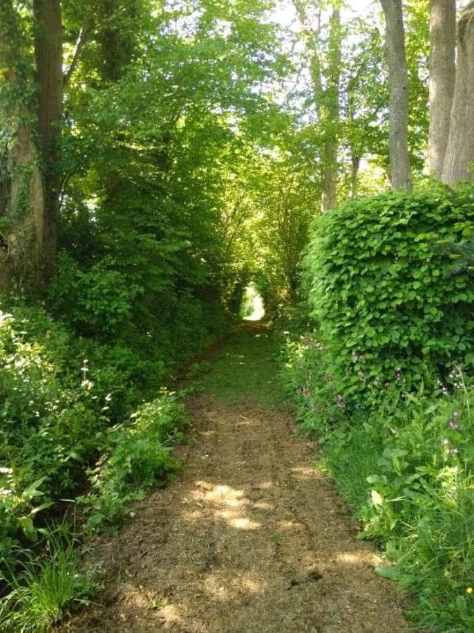 La Cabane Perchee Du Trappeur Écrainville Exteriér fotografie