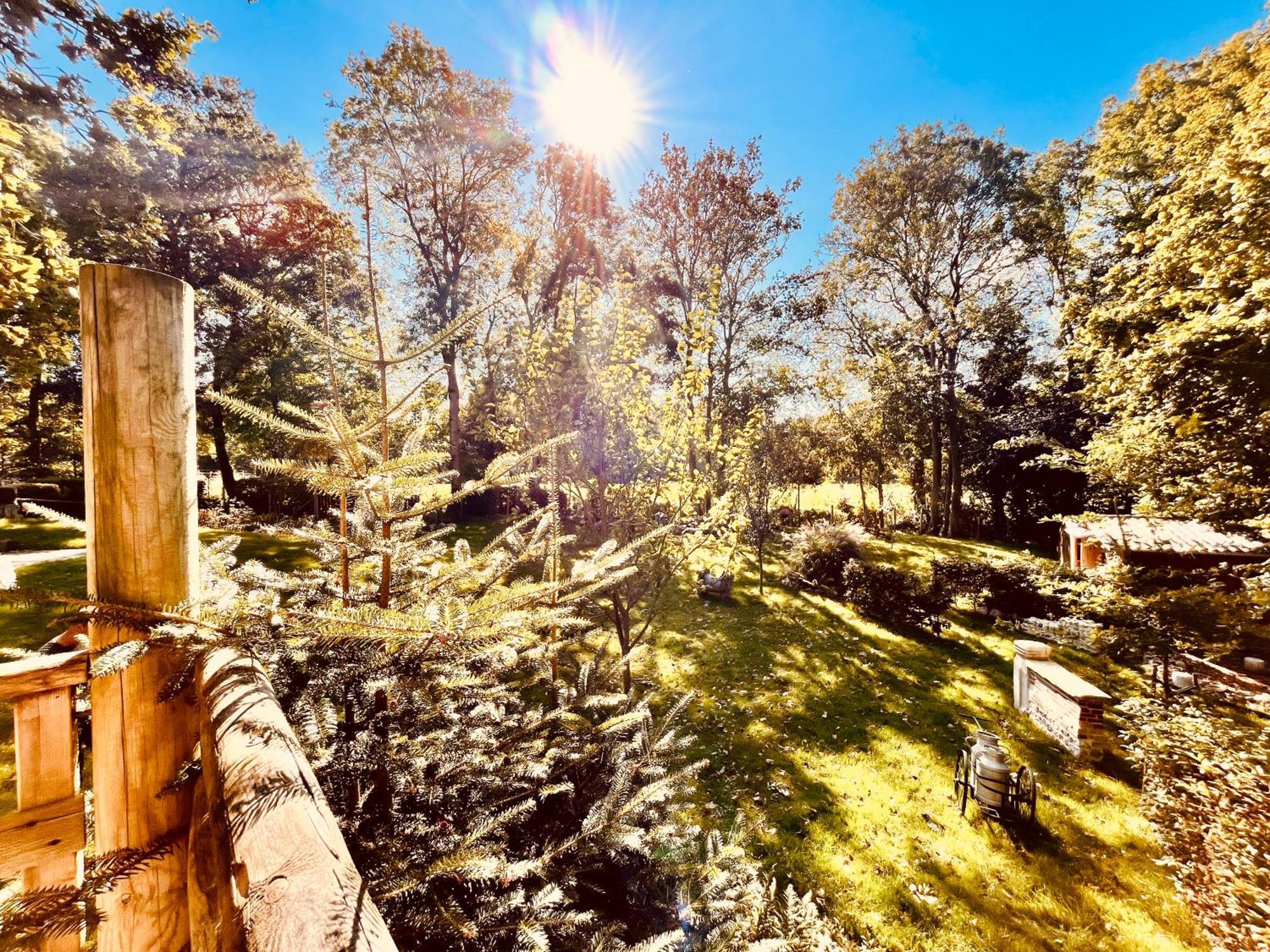 La Cabane Perchee Du Trappeur Écrainville Exteriér fotografie