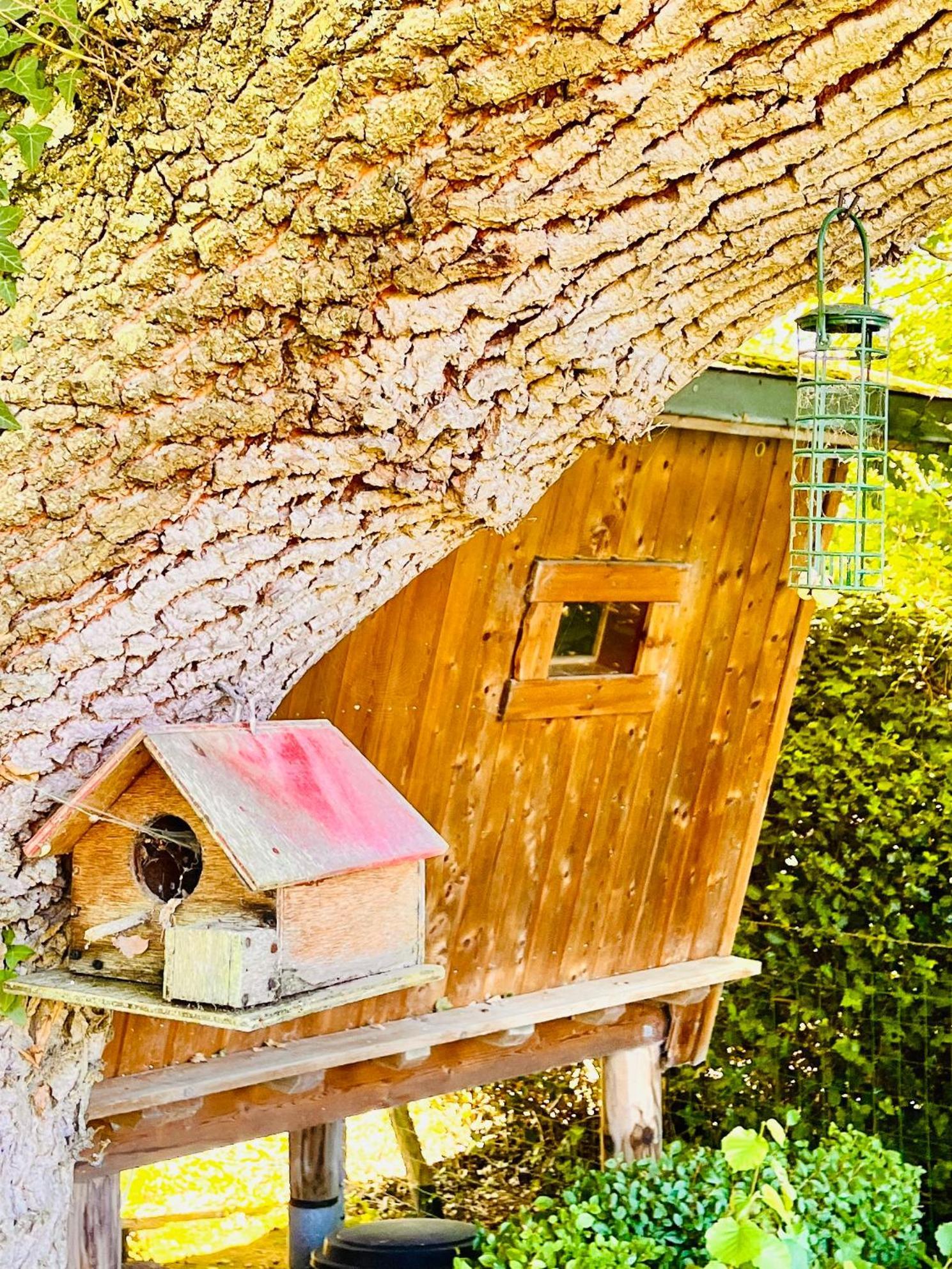La Cabane Perchee Du Trappeur Écrainville Exteriér fotografie